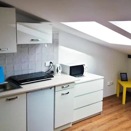 Attic Close To Old Town Air Conditioning - Klimatyzacja Apartment Krakow